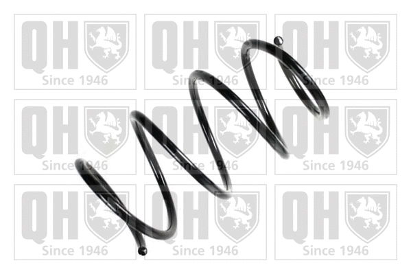 Suspension Spring (QCS6753)