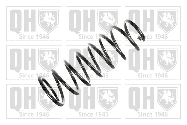 Suspension Spring (QCS5986)