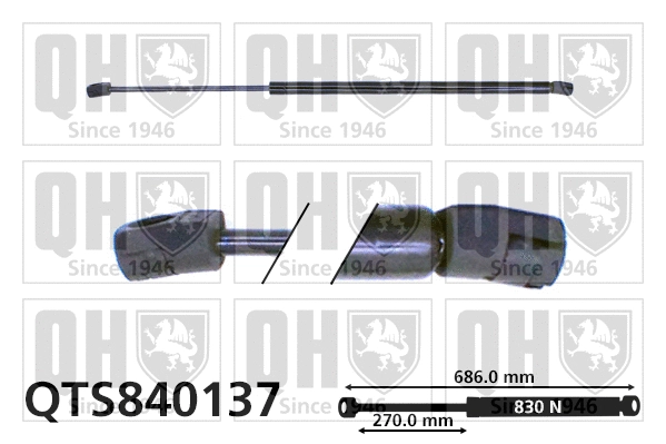 Gas Spring, boot/cargo area (QTS840137)