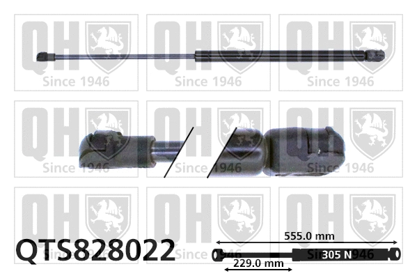 Gas Spring, boot/cargo area (QTS828022)