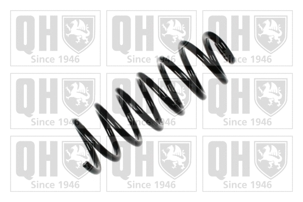 Suspension Spring (QCS6406)