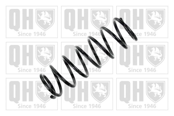 Suspension Spring (QCS5662)