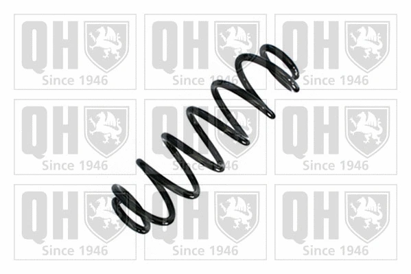 Suspension Spring (QCS9138)