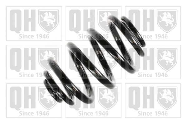 Suspension Spring (QCS5017)