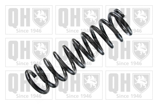 Suspension Spring (QCS8148)