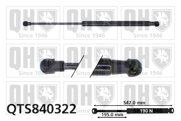 Gas Spring, rear window (QTS840322)