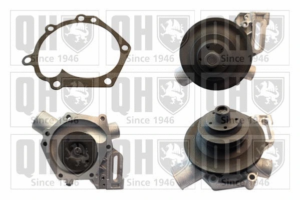 Water Pump, engine cooling (QCP2338)