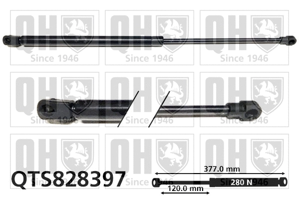 Gas Spring, bonnet (QTS828397)