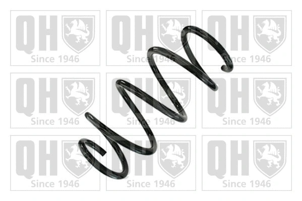 Suspension Spring (QCS9189)