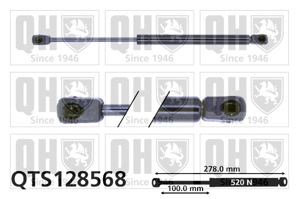 Gas Spring, boot/cargo area (QTS128568)