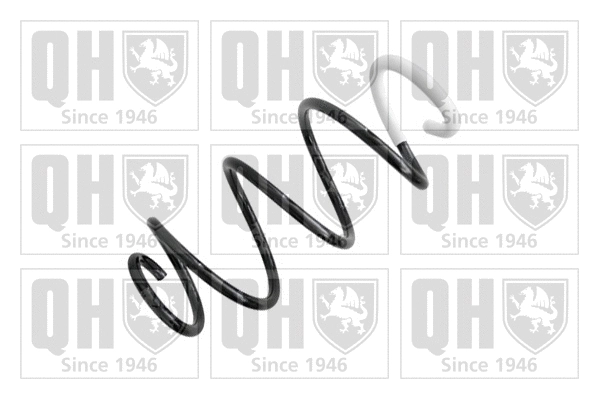 Suspension Spring (QCS5064)