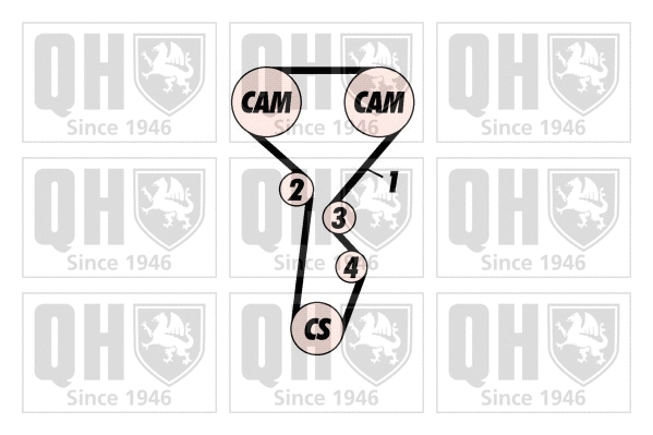 Timing Belt Kit (QBK410)