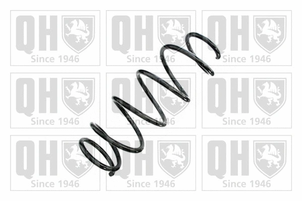 Suspension Spring (QCS8753)