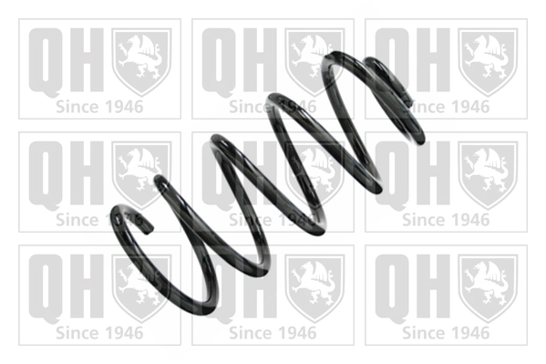 Suspension Spring (QCS8366)
