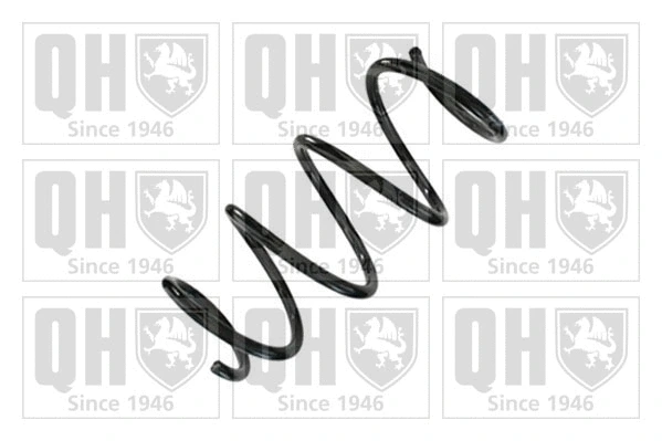 Suspension Spring (QCS9173)