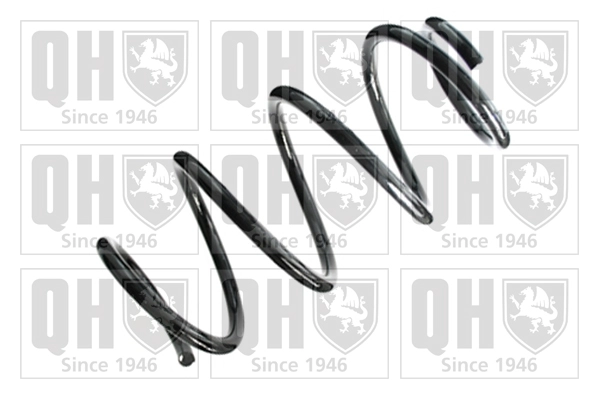 Suspension Spring (QCS8406)