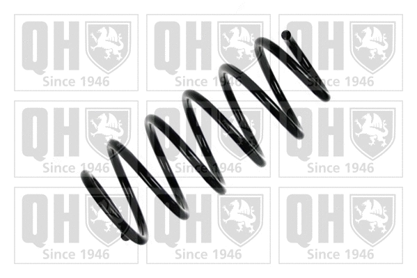 Suspension Spring (QCS6364)