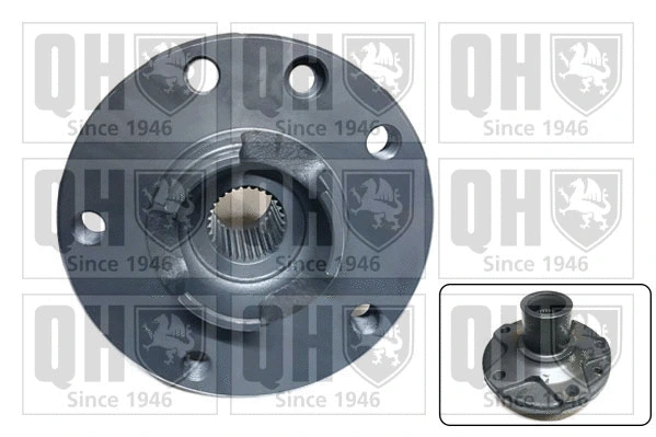 Wheel Hub (QWH202)