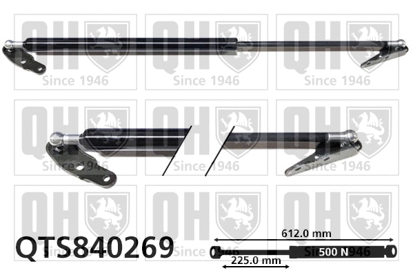 Gas Spring, boot/cargo area (QTS840269)