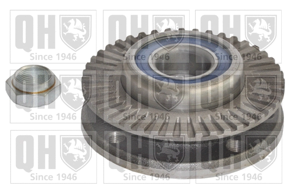 Wheel Bearing Kit (QWB734)