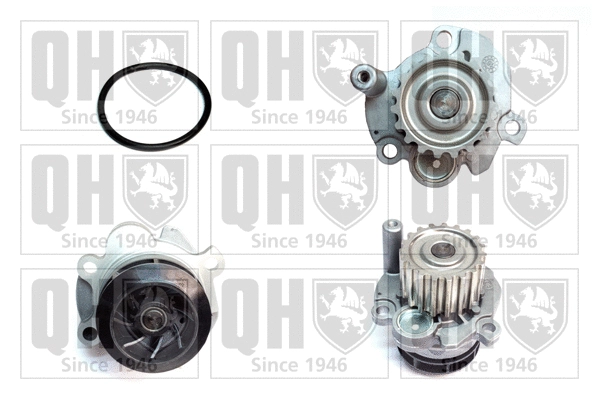 Water Pump, engine cooling (QCP3879)