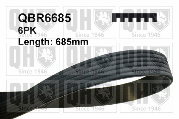 V-Ribbed Belt (QBR6685)