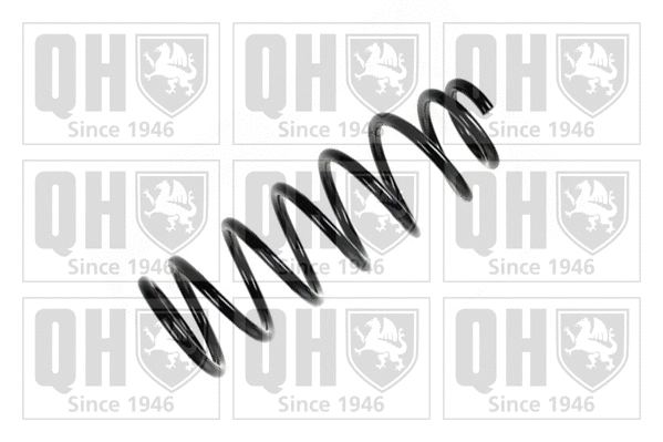 Suspension Spring (QCS5521)