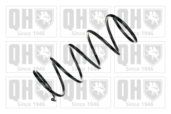 Suspension Spring (QCS5341)