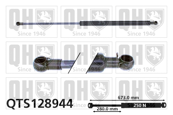 Gas Spring, bonnet (QTS128944)