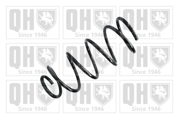 Suspension Spring (QCS6883)