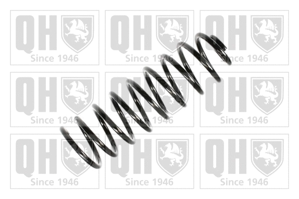Suspension Spring (QCS5681)