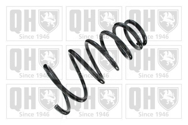 Suspension Spring (QCS5608)