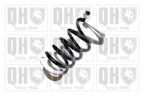 Suspension Spring (QCS6616)