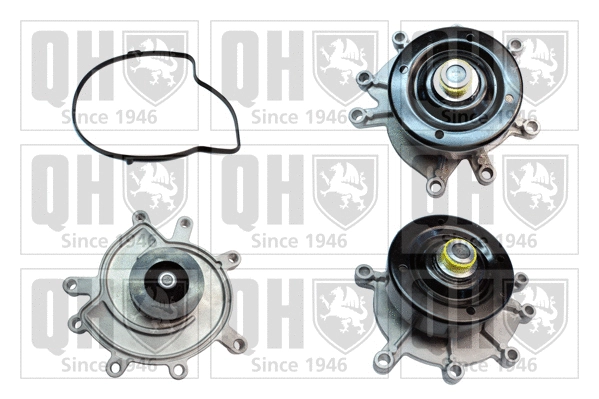 Water Pump, engine cooling (QCP3731)