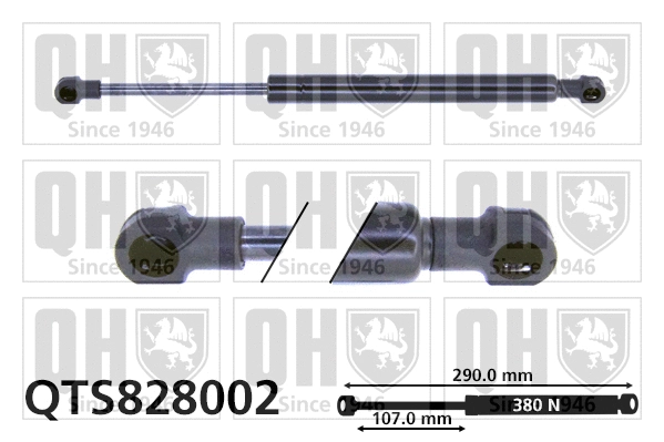 Gas Spring, boot/cargo area (QTS828002)