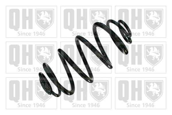 Suspension Spring (QCS5644)