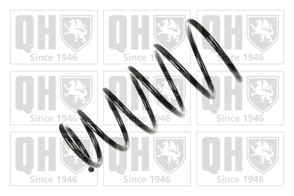 Suspension Spring (QCS7908)
