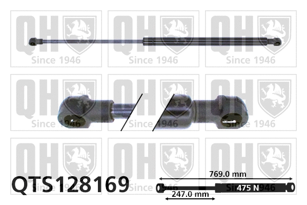 Gas Spring, boot/cargo area (QTS128169)