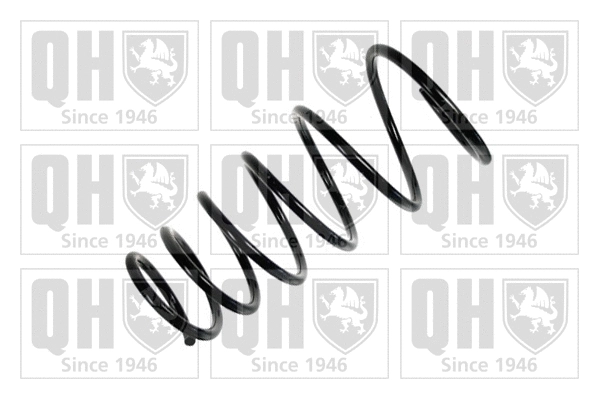Suspension Spring (QCS7563)