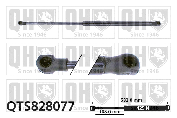 Gas Spring, boot/cargo area (QTS828077)