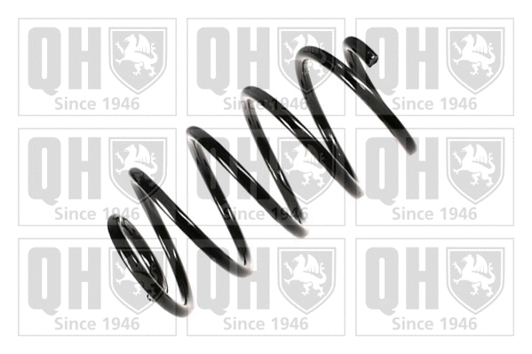 Suspension Spring (QCS8019)