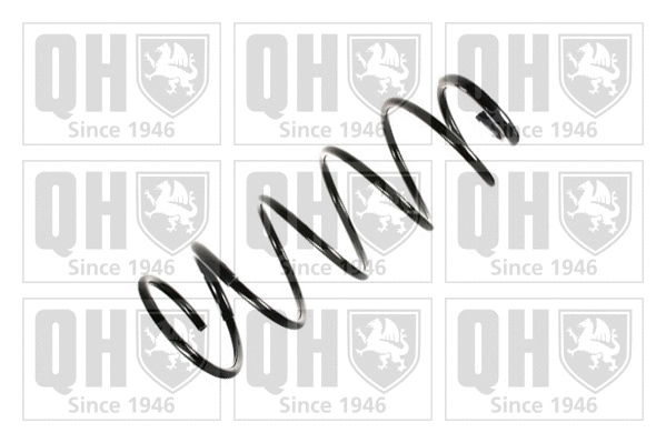 Suspension Spring (QCS8206)