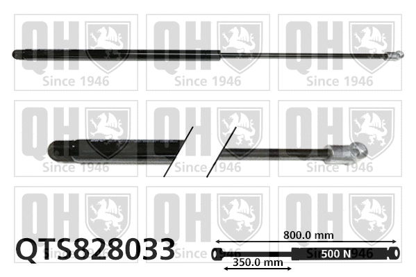 Gas Spring, boot/cargo area (QTS828033)