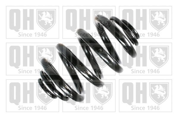 Suspension Spring (QCS6689)