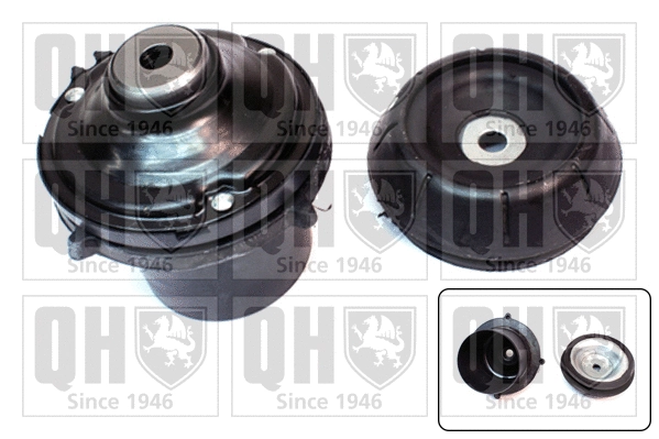 Repair Kit, suspension strut support mount (EMA1841)