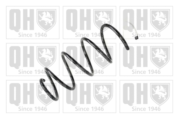 Suspension Spring (QCS6608)