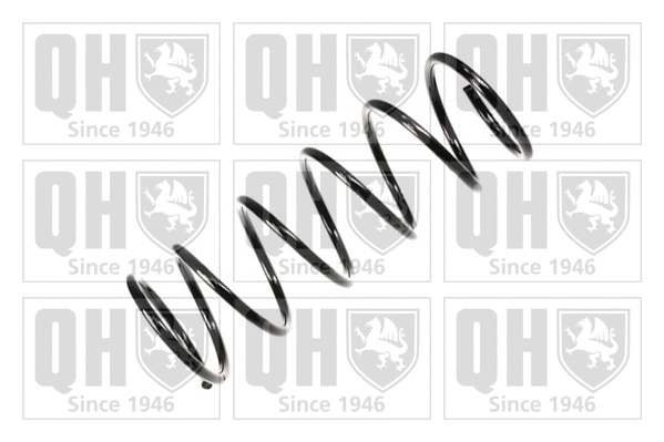 Suspension Spring (QCS6593)