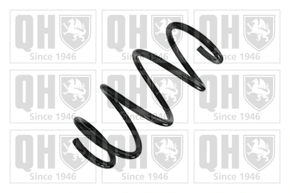 Suspension Spring (QCS9187)