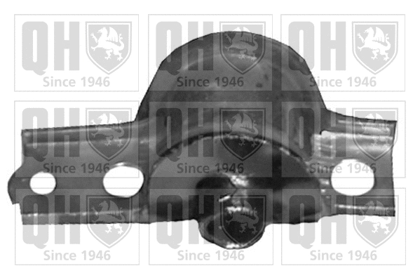 Mounting, control/trailing arm (EMS8048)