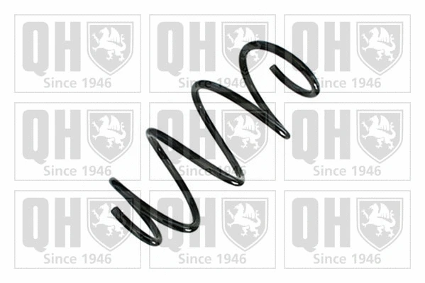 Suspension Spring (QCS9099)